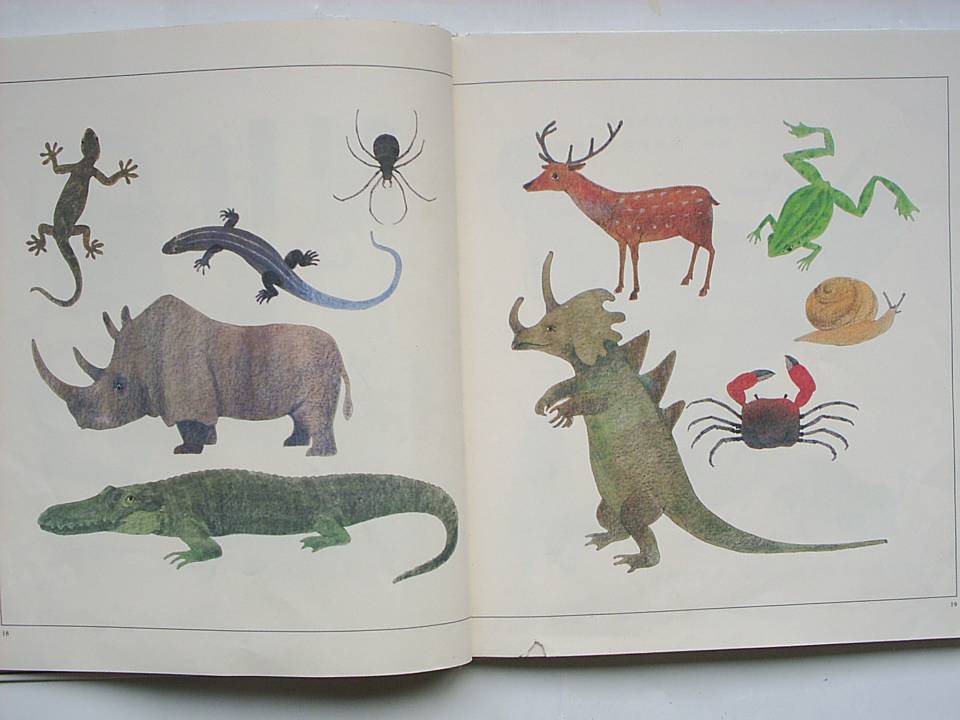 進入數學世界的圖畫書 (10),绘本,绘本故事,绘本阅读,故事书,童书,图画书,课外阅读